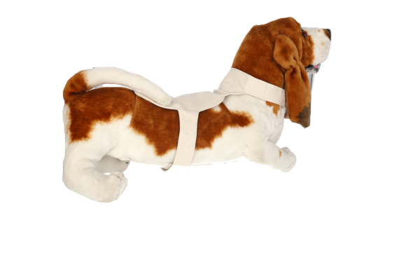 Fabric Detector for Large Dogs (1) Fabric Detector for Large Dogs