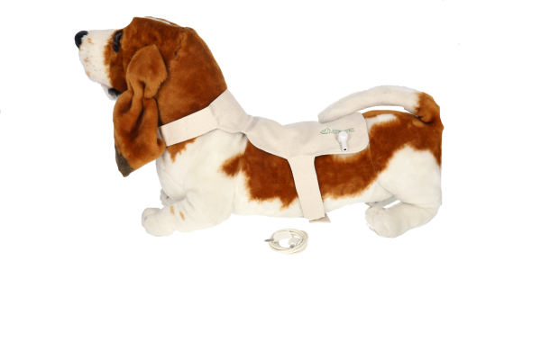 Fabric Detector for Small Dogs Fabric Detector for Small Dogs