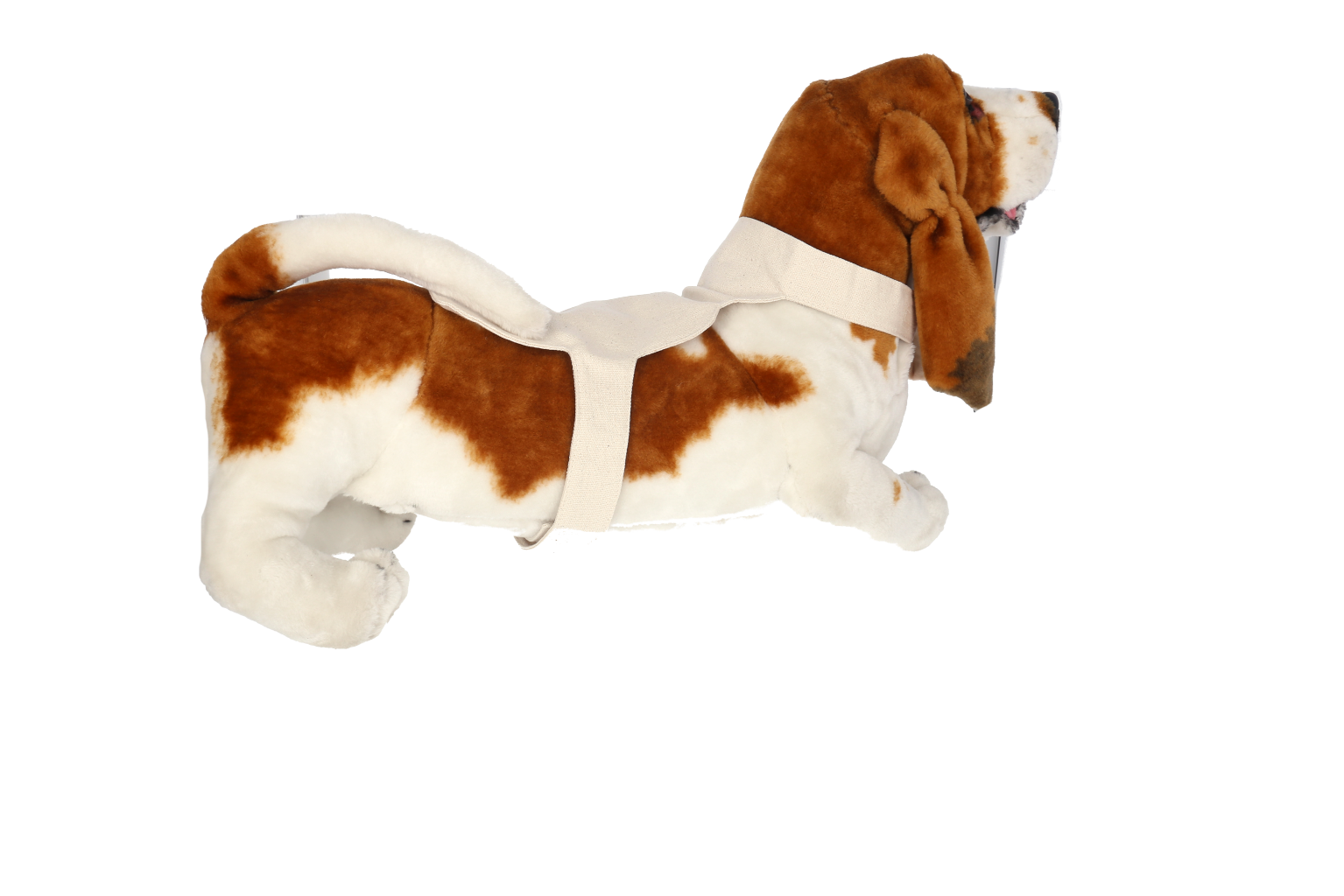 Rayonex-biomedical-gmbh-30365_stoffdetektor_hund_klein_0019 Fabric Detector for Large Dogs